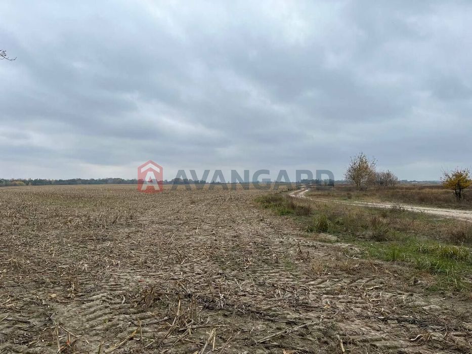 продаж земельної ділянки Макарівський район с.Копилів