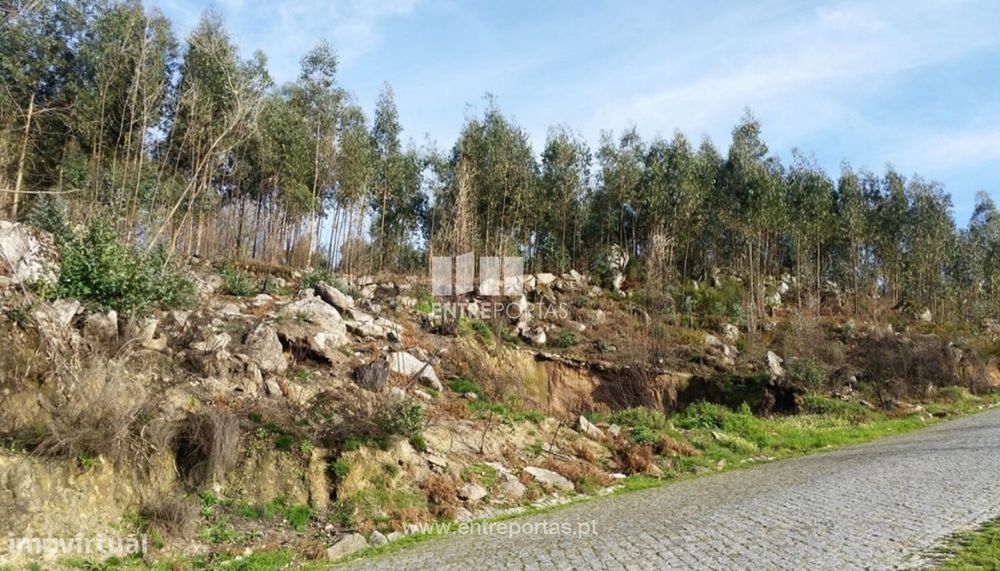 Land for Sale, Fronting Road, Penha Longa, Marco de Canaveses