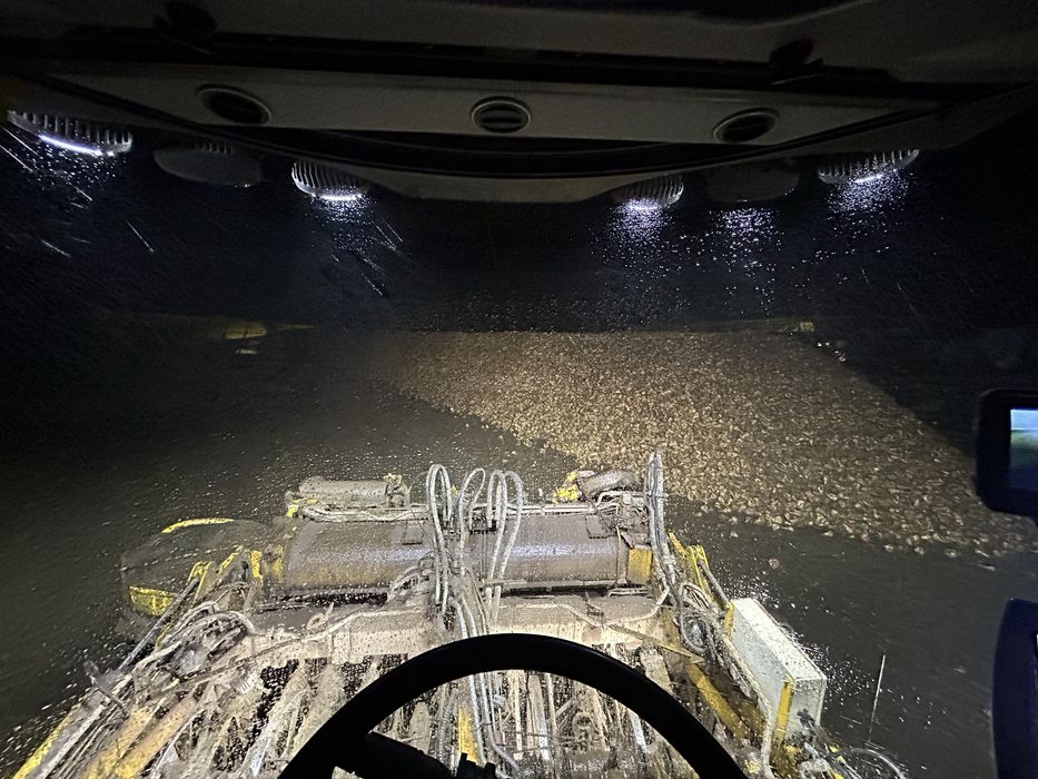 Usługa Kopania buraków Kopanie buraków cukrowych wraz z odwozem