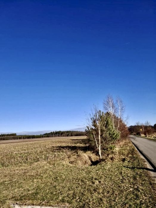 Działki budowlane Gorzelin - Widok 2