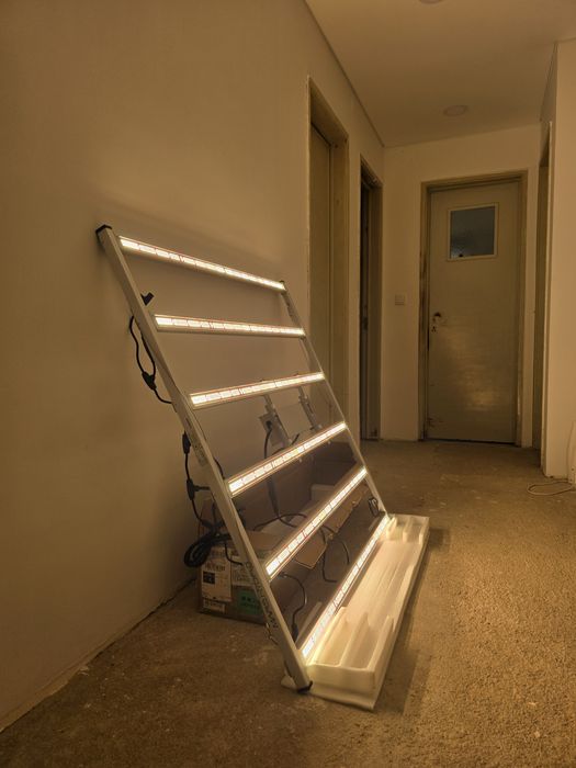 2x LED Mars Hydro + Viparspectra