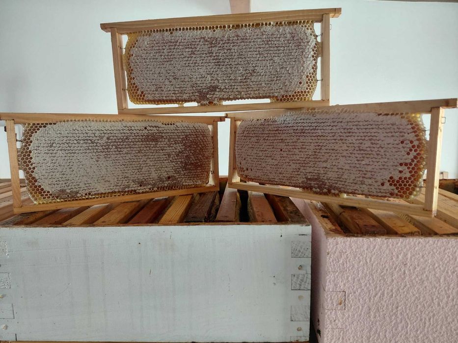 MEL Caseiro 1kg / 500gr / 250gr