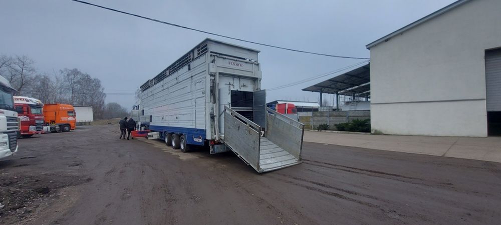 Скотовоз, перевезення скота