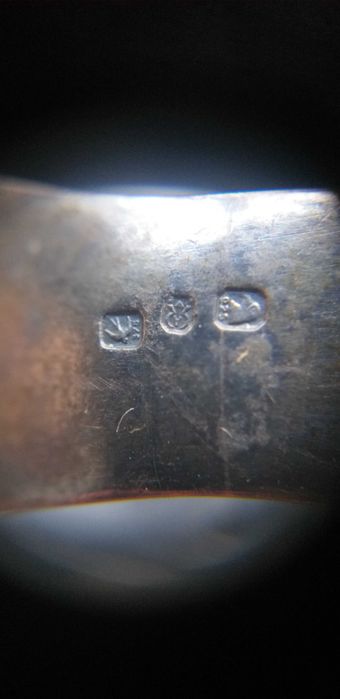 Anel - José C Felizardo & Ricardo Quaresma - Coleccionismo & Paixões