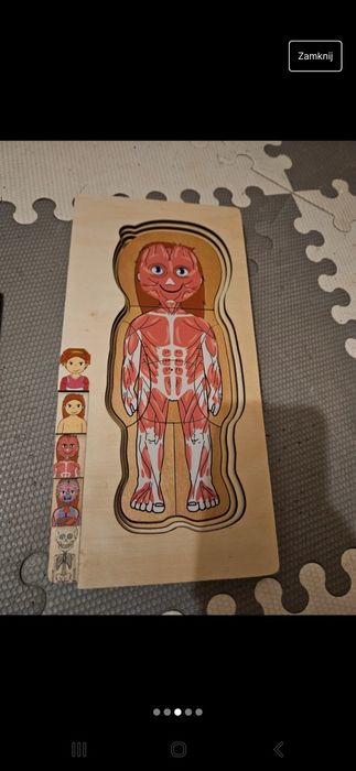 Drewniane puzzle anatomiczne