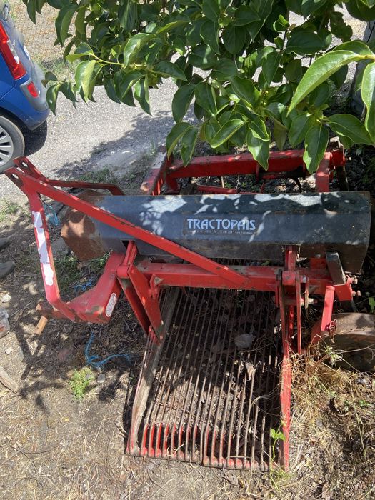 Arrancador de Batatas
