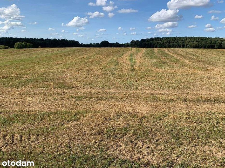 Rogóż, Warmia – działki pod osadę. Gotowe WZ, wsparcie w projektach! – pohled 4