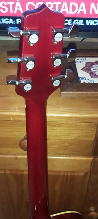 Viola acústica Takamine