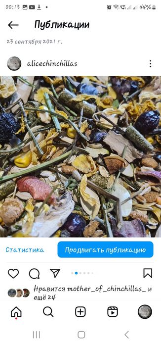 Прикорм для Грызунов и Шиншилл для Нормализации  ЖКТ и  Поднятия Веса!