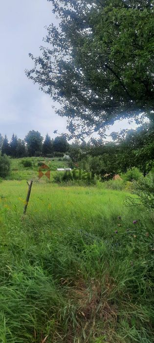 Зем.лділянка 14 соток.(під забудову).с.Рославичі.Київська обл.