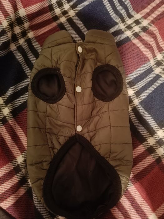 Kurteczka dla psa, rozmiar M- ubranko dla psa