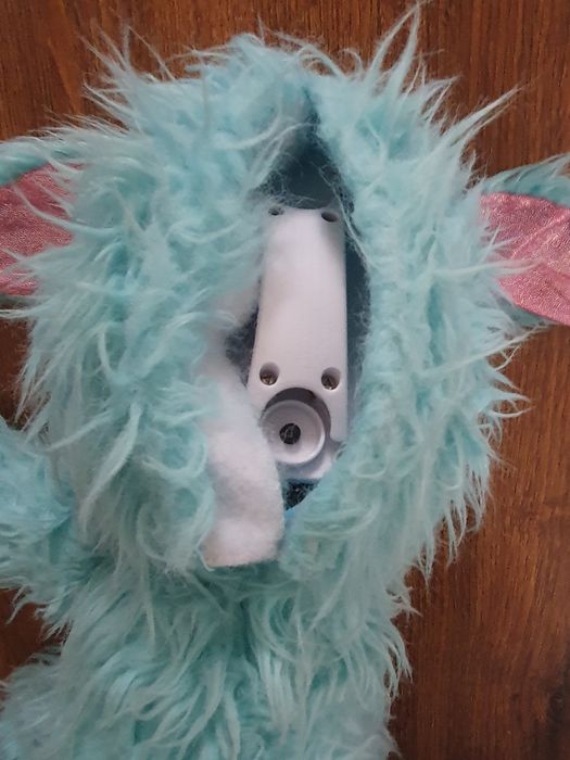 Pies piesek niebiesko biały z długą sierścią wydaje dźwięk szczekania