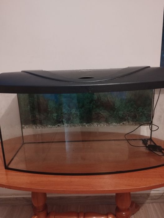 # sprzedam akwarium półokrągłe 80x50x38
