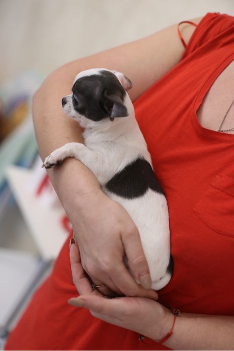 Гарненька красуня з сердечком