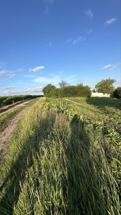 Панорамні  8 сот. с. Красне 1, Київ 35 км