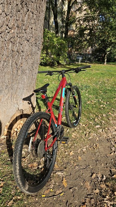 Marin Bobcat Trail 4 29" (L) 2x9 shimano altus Hamulce Hydrauliczne Zadbany MTB  Po Serwisie