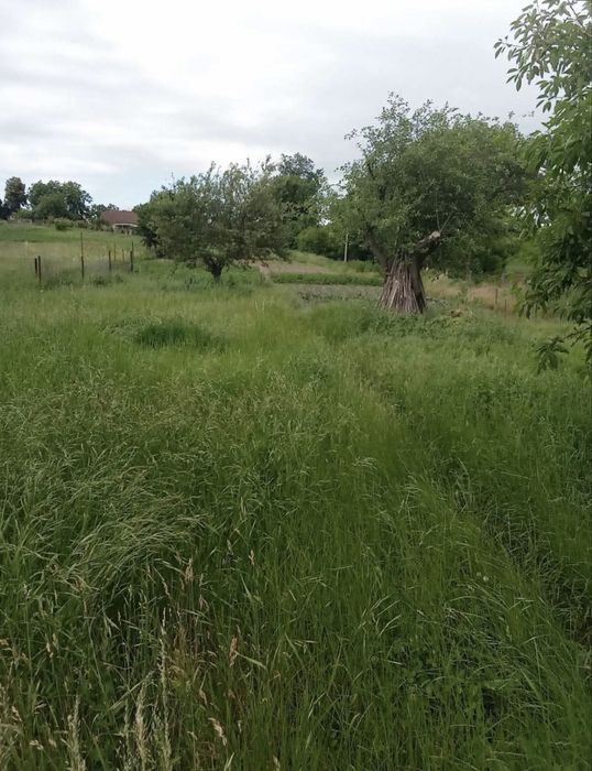 Будинок під Києвом