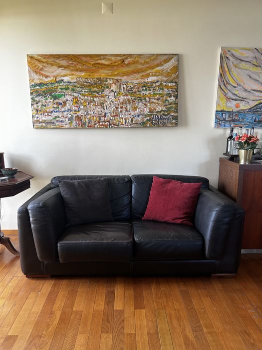 Sofas de pele conjunto