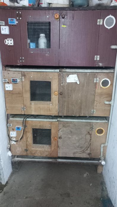 Перепелина Ферма