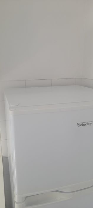 Frigorífico SelecLine 169L