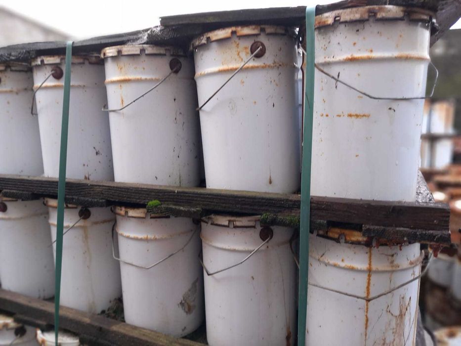 Paletes de Velas Anti-geadas ideal para Abacateiros