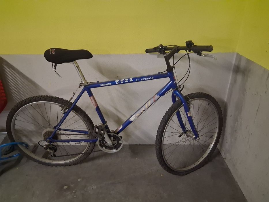 Bicicleta de montanha