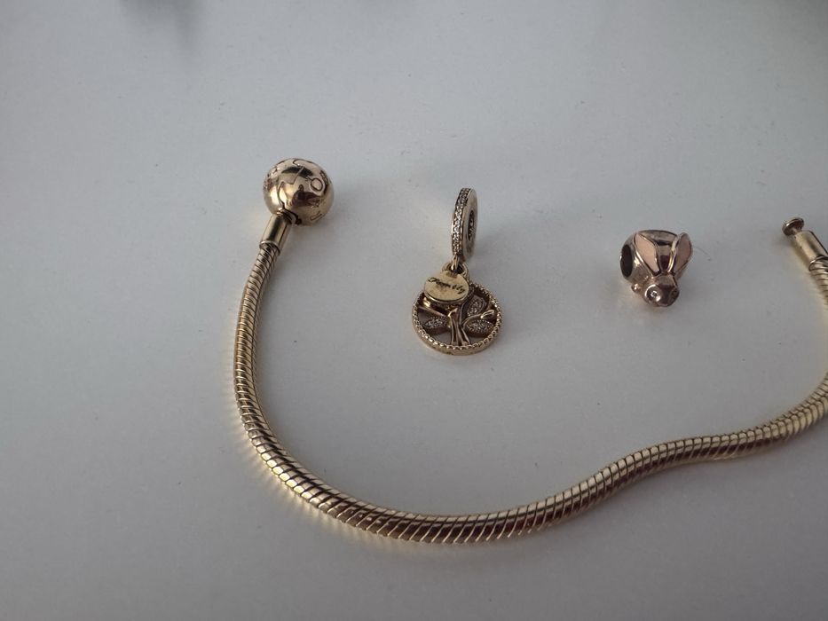 Pulseira, pendente e charme