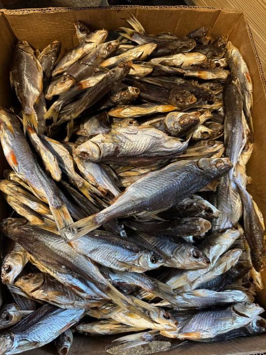 Опт роздріб плотва ікра