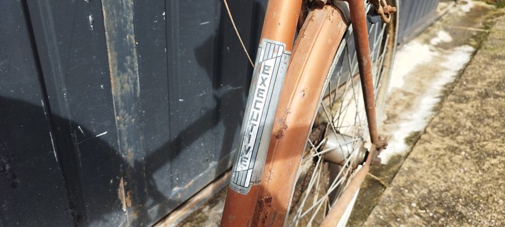 Vendo bicicleta 2 lugares vintage