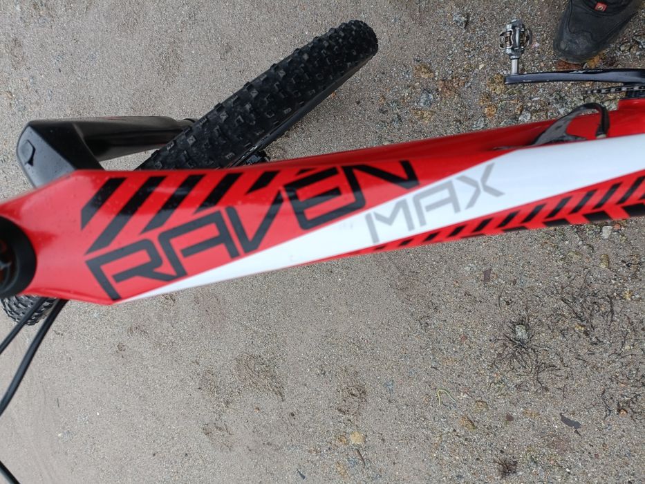 Focus Raven max 2017