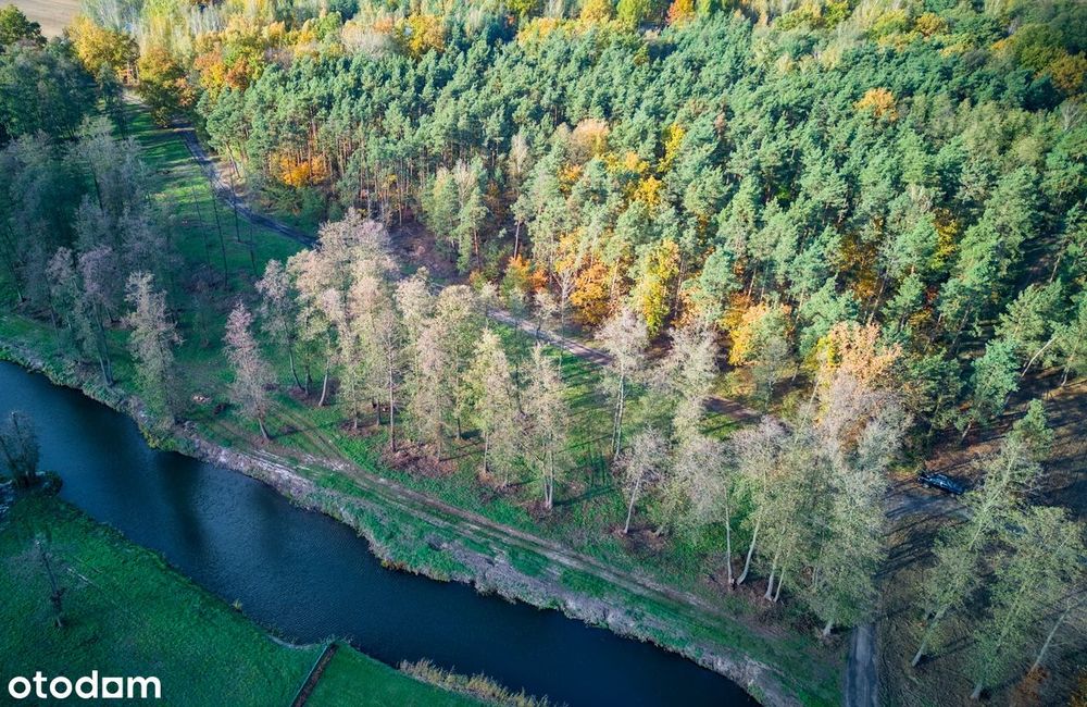 Działki nad wodą – Pilica k. Warki, dookoła las, cisza i spokój :)