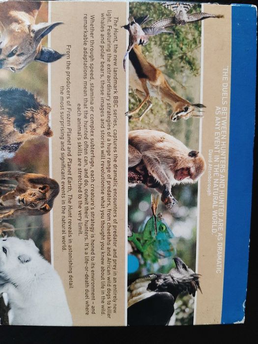 The Hunt: narrado por David Attenborough - BBC - 3 Discos Blu Ray