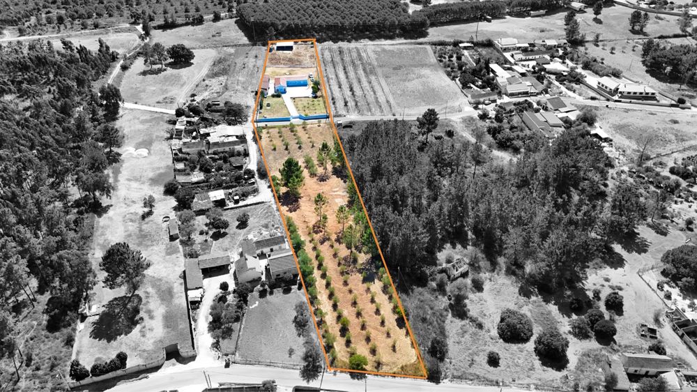 Quinta com Moradia T3 e Terreno de 8.920 m² em Fazendas de Almeirim