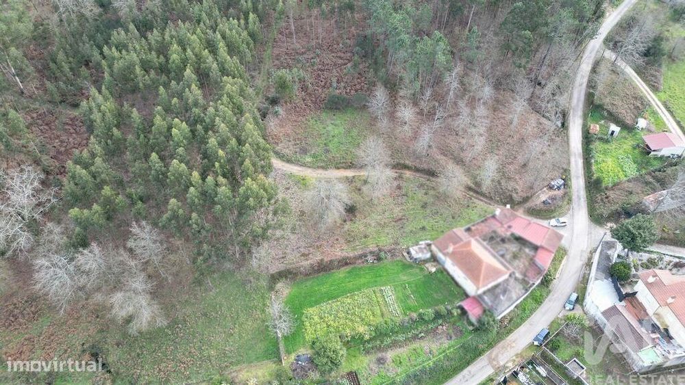 Terreno para construção em Espinhal
