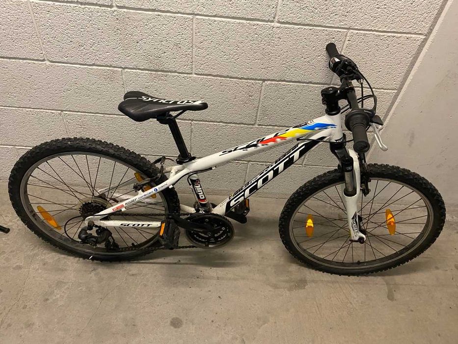 Scott scale NINO SHURTER