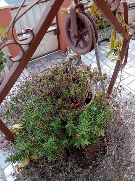 Floreira em forma de poço