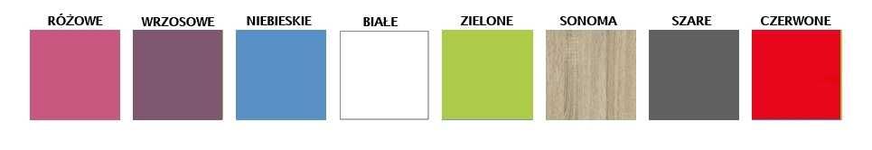 Zestaw mebli do pokoju młodzieżowego meblościanka z biurkiem