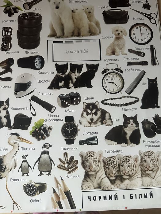 Книга дитяча 500 Перших слів