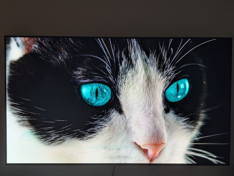 Telewizor LG OLED55B7V sprawny z oznakami wypalenia matrycy