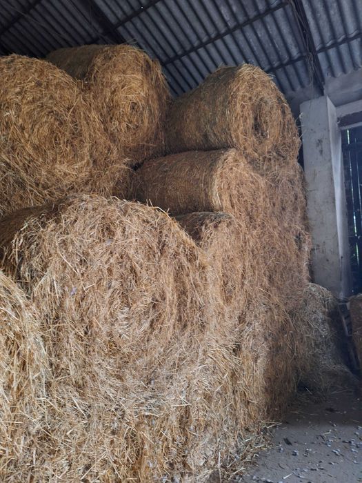 Sprzedam siano z pod dachu