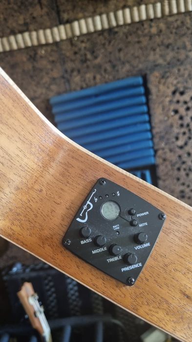 Viola Braguesa APC 250 Amplificada