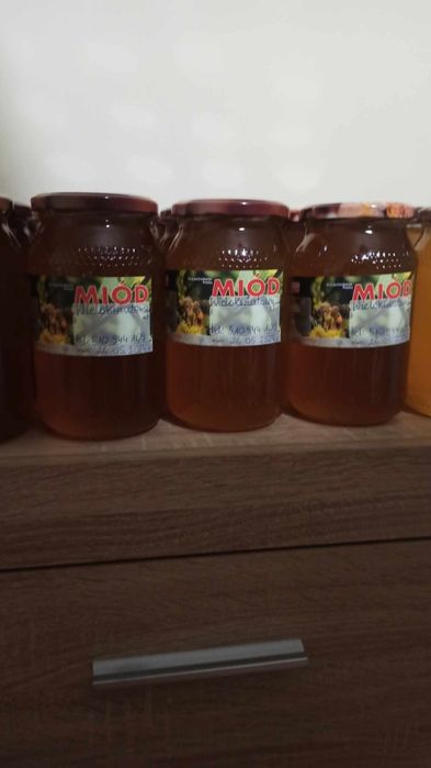 Miód wielokwiatowy i lipowy  z 2024r
