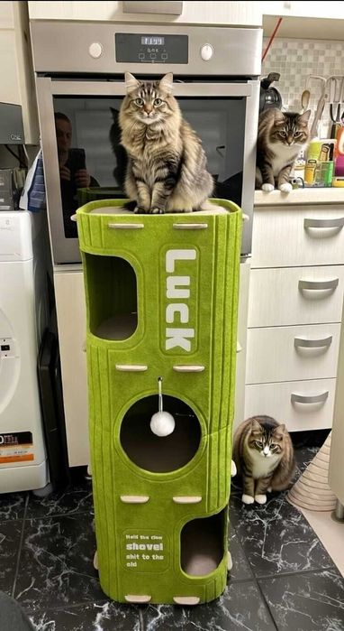 Будинок для кота лежанка для котика когтеточка будинок для собачки