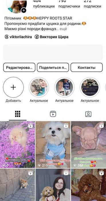 Дівчатка померанського шпіца