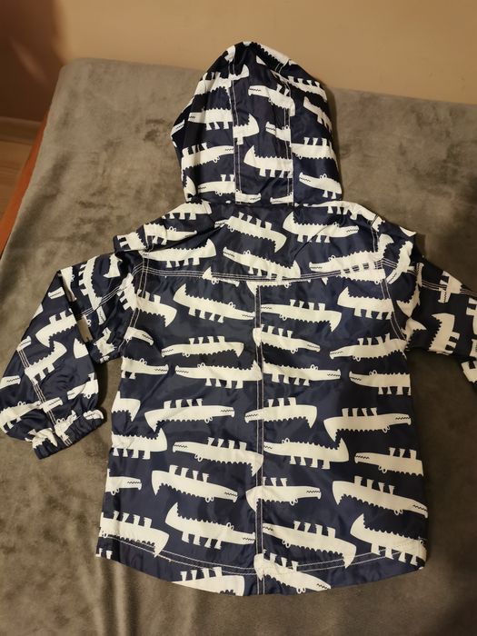 Kurteczka chłopięca