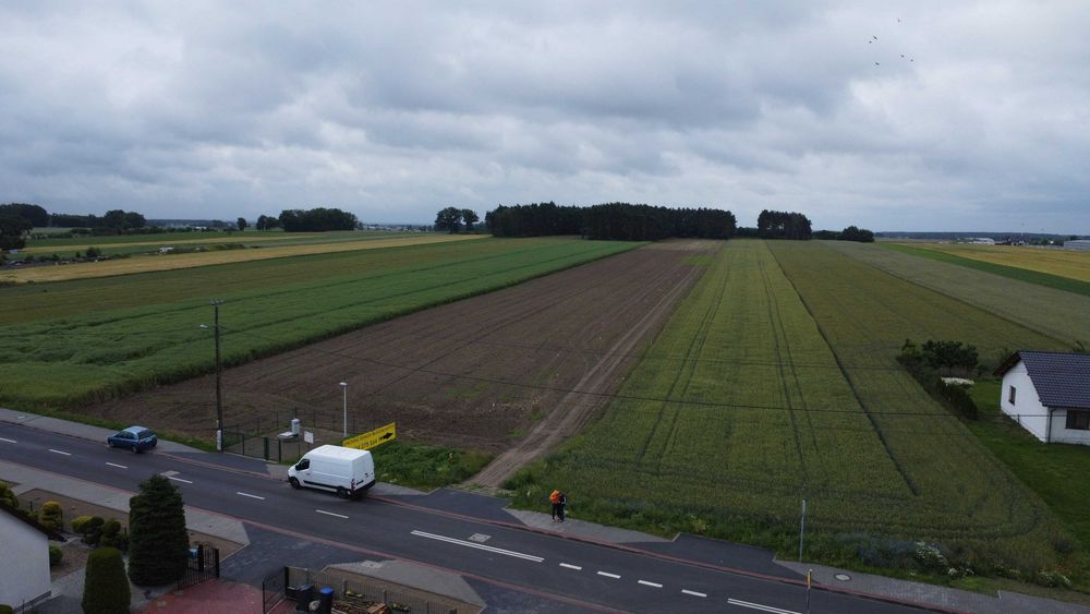 Działka budowlana Drzymałowo przy lesie indywidualne warunki zabudowy - Widok 6
