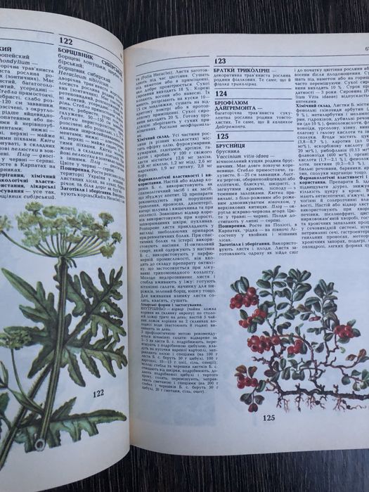 Лікарські рослини. Енциклопедичний довідник. А. Гродзінський.