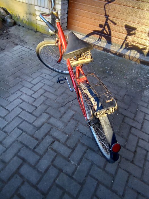 Rower damka Mateo