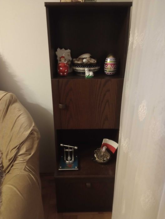 Elegancki regał z efektowną, podświetlaną witryną.