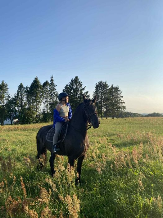 Jazdy konne w terenie